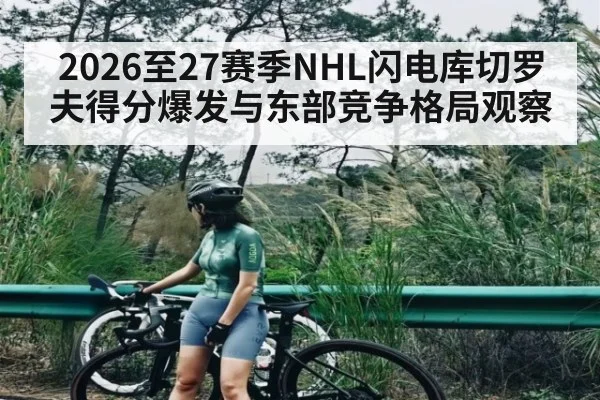 2026至27赛季NHL闪电库切罗夫得分爆发与东部竞争格局观察（dafaonline）
